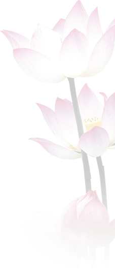 Đá Phong Thủy Bán Chạy